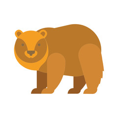 Bear vector graphic
