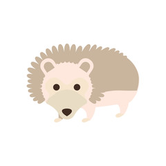 Hedgehog vector graphic