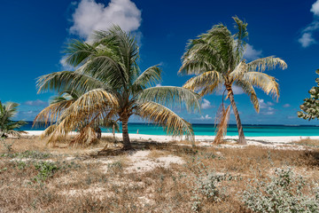 Obraz na płótnie Canvas Caribbean paradise Island of Anguilla Antilles