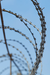 Spiral barbed wire against the blue sky, vertical image