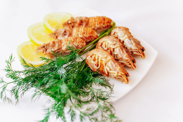 Shrimp on a plate with lemon and dill. White background