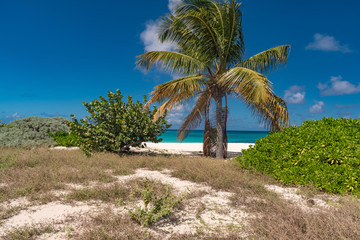 Fototapeta na wymiar Caribbean paradise Island of Anguilla Antilles