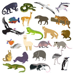 Big set of animals South America isolated on white background
