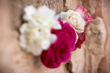 pink rose on a wooden background