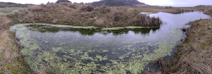  Promenade &agrave; Saint-Anne-La-Palud en Bretagne Finist&egrave;re Cornouailles