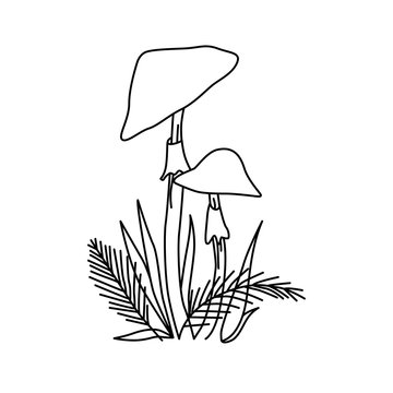 recommend clip art: Black and white linear image of two toadstools with leaves and grass around. The idea for a coloring book, children's art, from 2 years old, for learning.
