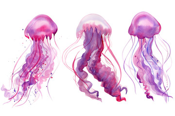 set of jellyfish on an isolated white background, watercolor illustration, hand drawing