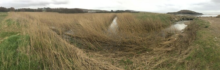 Fototapeta premium Promenade à Saint-Anne-La-Palud en Bretagne Finistère Cornouailles