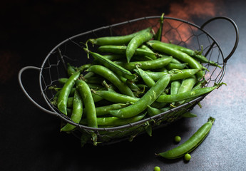 Fresh organic green peas in a metal basket on a dark rustic background. Close-up, copy space