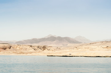 Rest on the white yacht (ship) in the Bay of Sharm El Sheikh. Photo on a sunny day..Holidays in 2018.