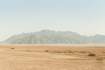 Riding a quad bike in the desert near the Sinai Mountains. Sharm El Sheikh. Photo on a sunny day..Holidays in 2018.