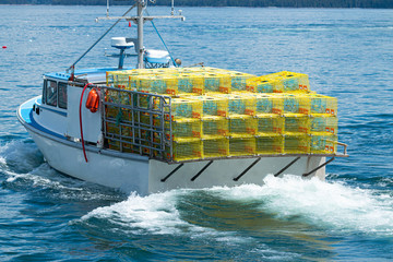 Lobster fishing boat full of yellow lobster traps heading out to see