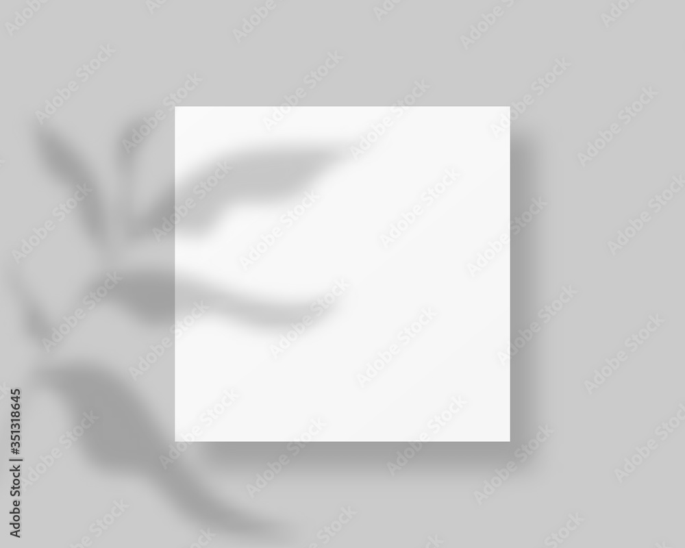 Poster blank white paper with leaf shadow. empty paper mockup with shadow overlay. mockup vector isolated. 