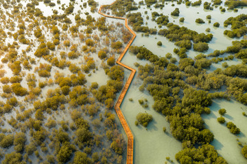 Aerial view above of Jubail Mangrove Park in Abu Dhabi, United Arab Emirates