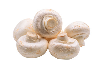 Champignon mushroom isolated on white background.