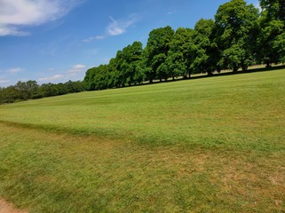 green field and blue sky