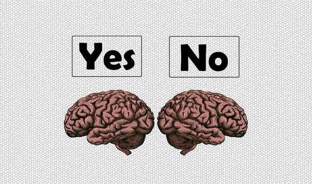 Hay que arriesgarse y decidir. Imagen que muestra dos cerebros con las palabras S&iacute; y No dentro de recuadros y fondo blanco con textura de mosaico