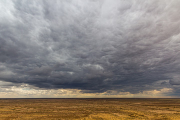 Fototapeta premium Landscape of Kyzylkum desert, Uzbekistan