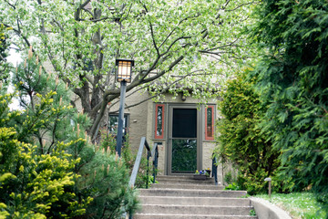 Lovely entrance to home framed by blossoming fruit tree and evergreen shrubbery. St Paul Minnesota...