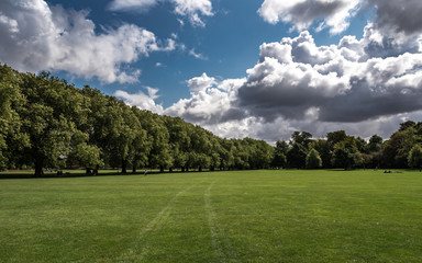 Fototapeta na wymiar The park in Cambridge during the summer. Trees, grass and blue sky.