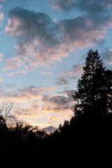Natural landscape with the silhouette of trees and a heart-shaped cloud in the sky