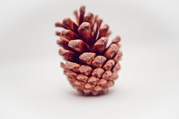 Fototapeta premium Pine cones isolated on white background