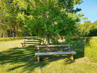 bench in the park, outside photography