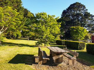 bench in the park, nature photography