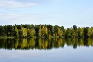 Summer forest on the lake is full of bright colors against a blue clear sky, reflection in calm water