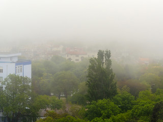 Low-rise residential buildings and streets with green trees in dense fog at summer day. Thick fog came from the sea and covered the city. Climate and weather changes.