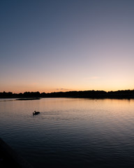 Two ducks are swimming away as the spring sun sets over a calm lake in the town of Lund, Sweden