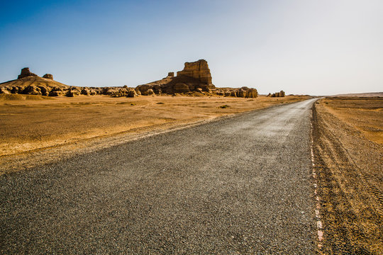 Road in the nature