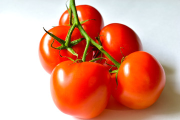 Ripe red tomatoes on a branch on a white background