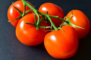Ripe red tomatoes on a branch on a black background