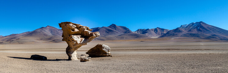 Fototapeta na wymiar Panoramic photo of Arbol de Piedra near Uyuni in Bolivia. Rock formation. Selective focus.