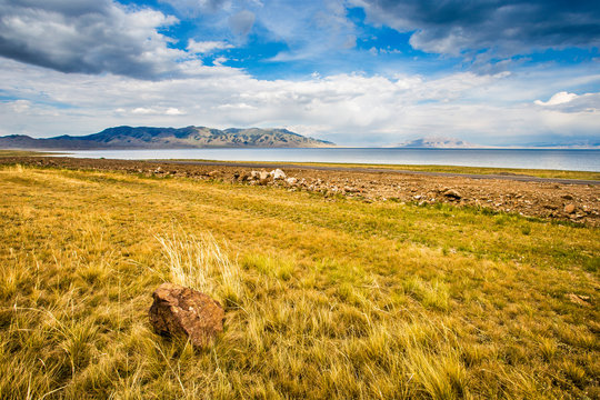 Wilderness area