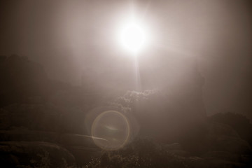 light bulb with rays