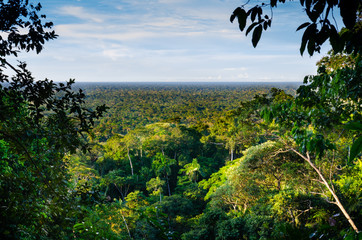 Views from the jungle to the immensity of Peru's rainforest Green canopies, clouds and blue sky.Selective focus.