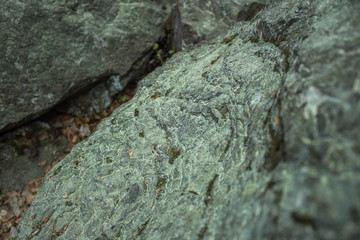 Zbliżenie na omszałe skały w górach © Marcin