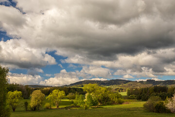 beautiful landscape with meadows, trees, forests, in the background wooded hills and blue sky with...