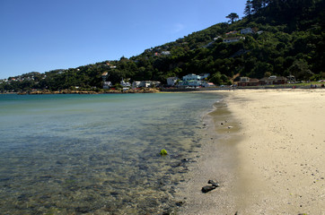 Scorching bay Beach near Wellington City, New Zealand