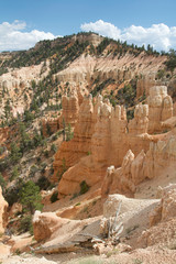 Fototapeta premium Bryce Canyon National Park