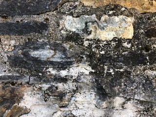 Wall 016