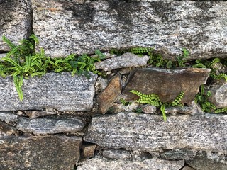 Wall 015