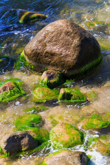 Large stone covered with green algae on the sea coast.