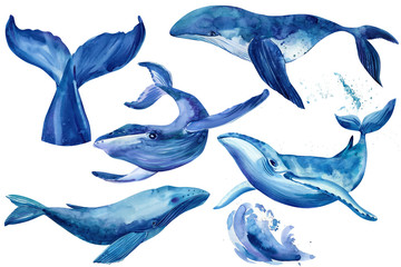 set of underwater animals, whale on a white isolated background.  Watercolor hand drawn painting illustration.