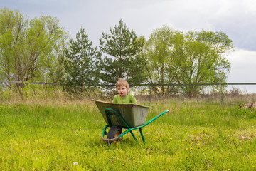 Little boy sits in a garden trolley in the garden.