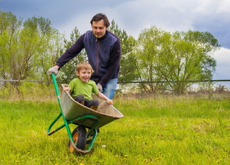 Man rolls his son in a garden cart in the garden. The son laughs and rejoices.