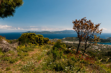 Fototapeta na wymiar The beautiful island of Skiathos, Greece.