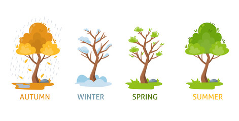 Four seasons of tree. Autumn, Spring, Summer, Winter. Vector illustration isolated.